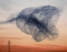 message from the heart of love