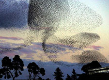 message from the heart of love