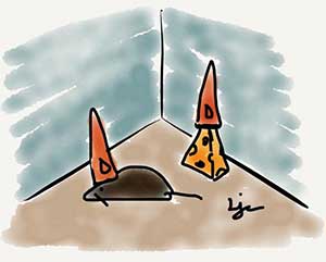 not another friggin lesson