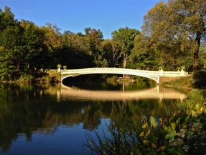 bow bridge reflection central park