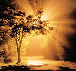 message from the heart of love